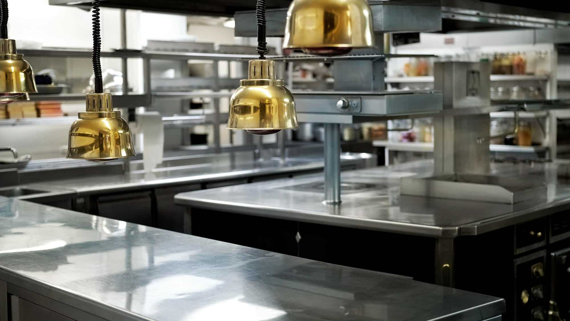 Keeping Your Restaurant Pest Free