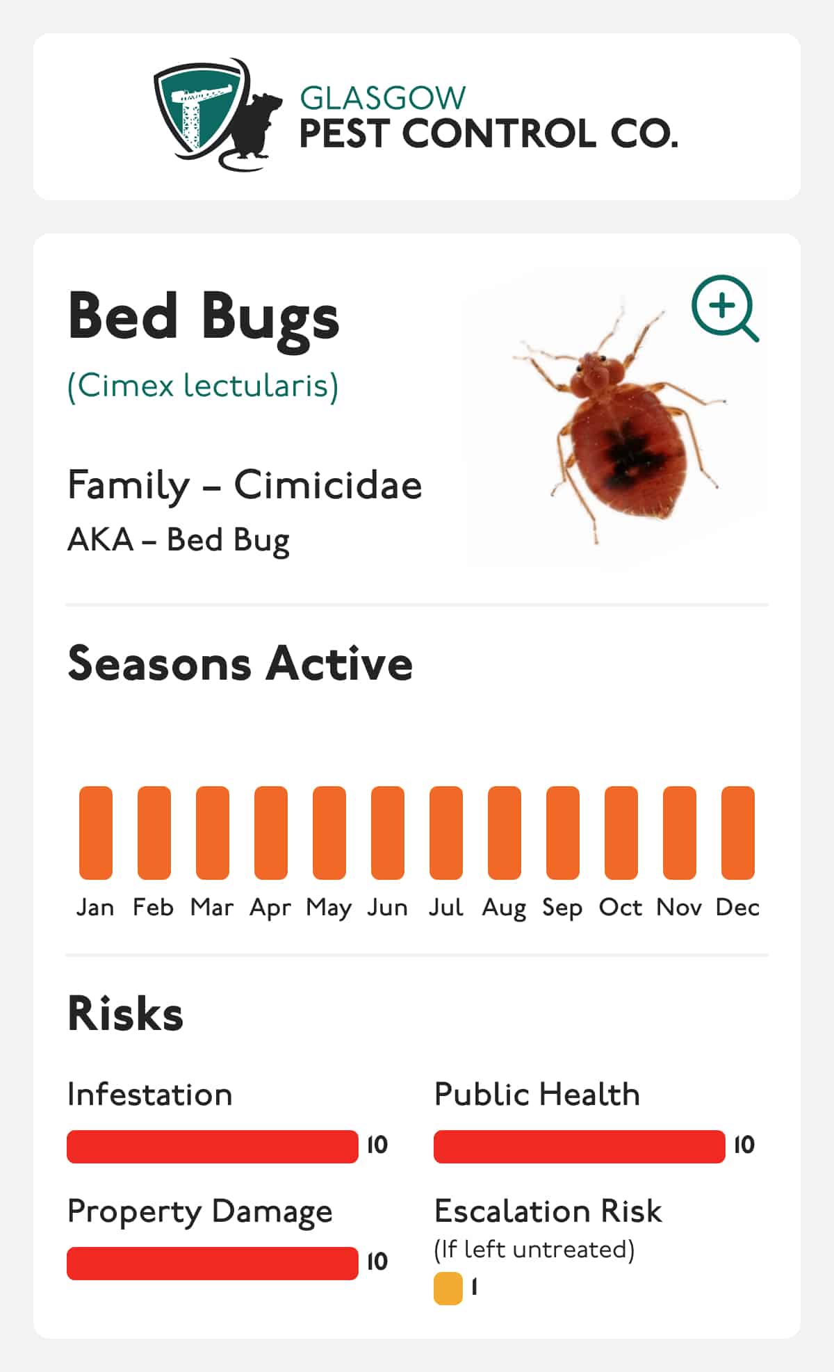 Bed Bugs Statistic Card