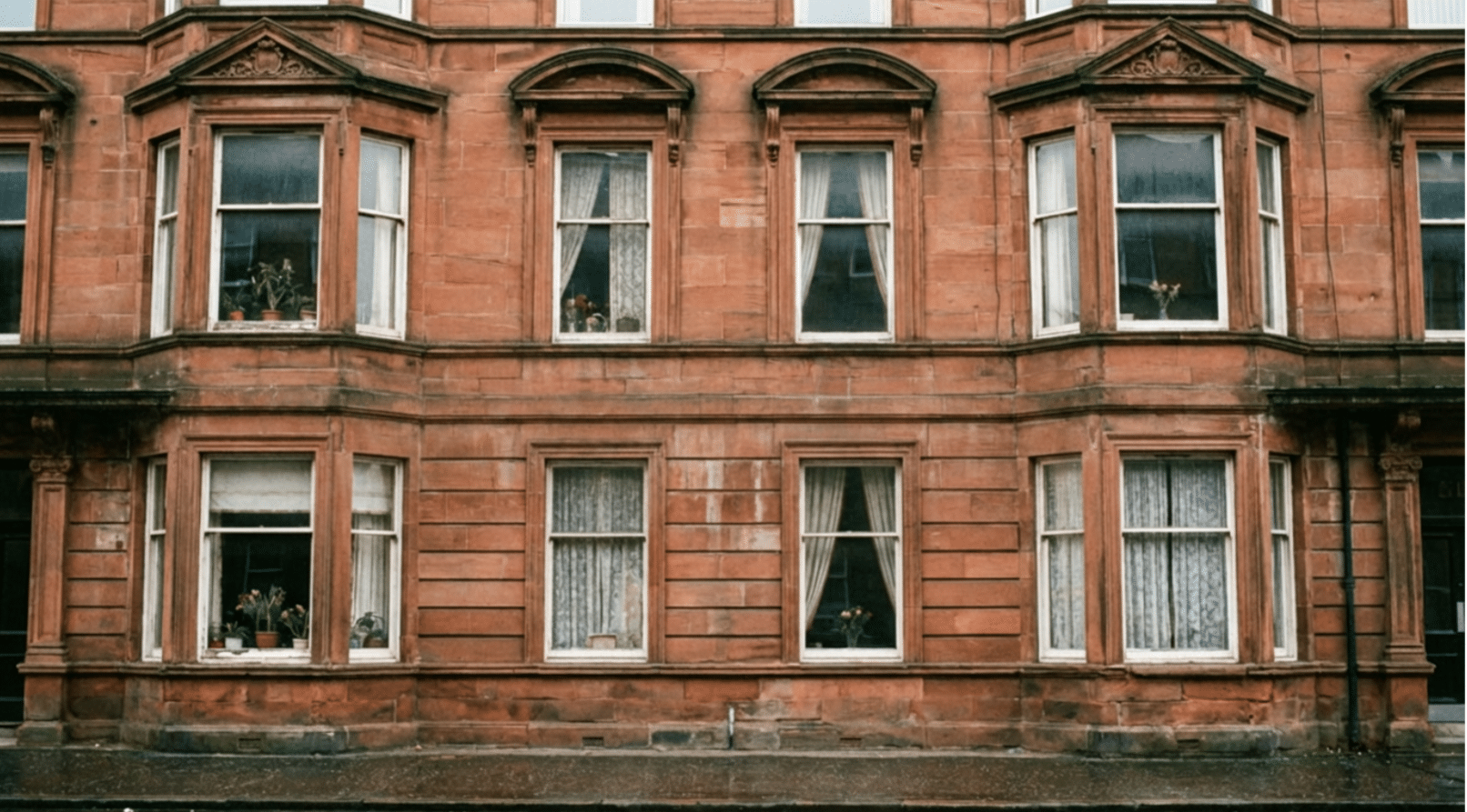 Pest Control for Landlords Glasgow